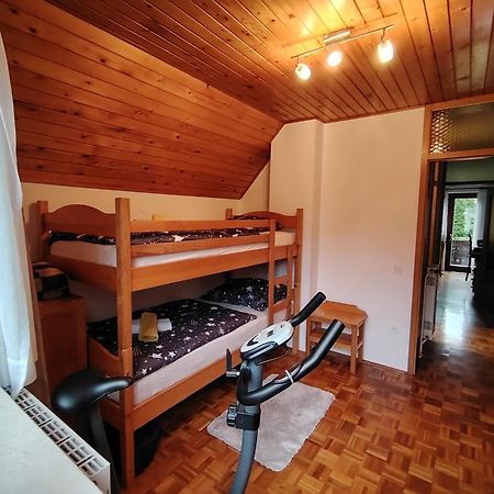 Fantastic Apartment Brglez Бохинийска Бела Екстериор снимка